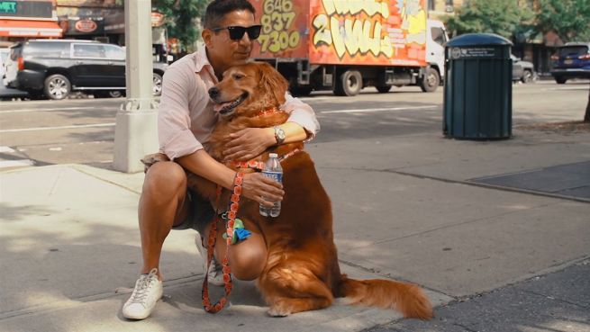 go to Berühmtes Tier: Dieser Hund hat fast 200.000 Follower